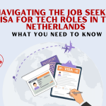 Navigating the Job Seeker Visa for Tech Roles in the Netherlands